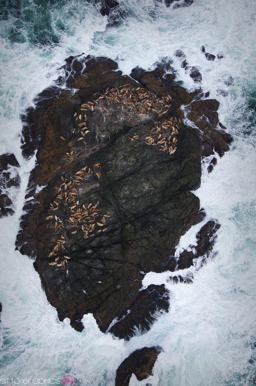 Whiskey Landing Lodge Ucluelet Exterior foto